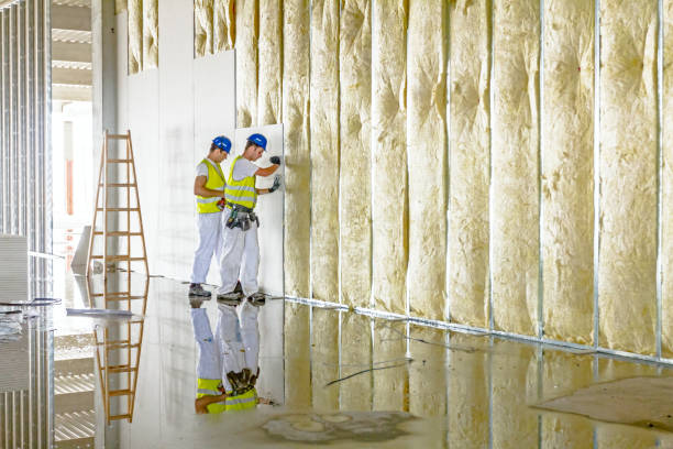 Best Residential Insulation in Ivey, GA